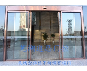 玫瑰金拉絲有框門_wps圖片