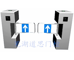 標準（zhǔn）立式擺（bǎi）閘